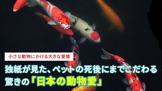 クーリエ・ジャポンのペット火葬サービス紹介記事