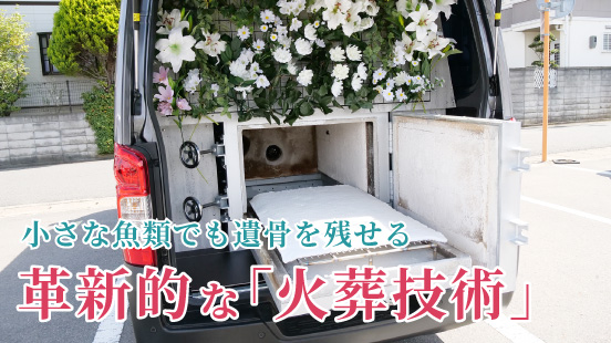 まいどなニュースに掲載されたペット火葬の取材記事