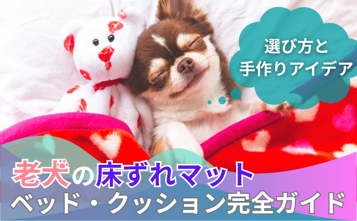 老犬の床ずれマット・ベッド・クッション完全ガイド｜選び方と手作りアイデア