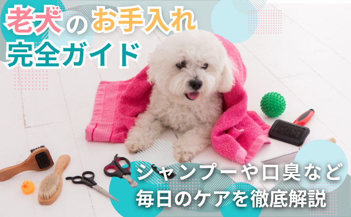 老犬のお手入れ完全ガイド｜シャンプーや口臭など毎日のケアを徹底解説
